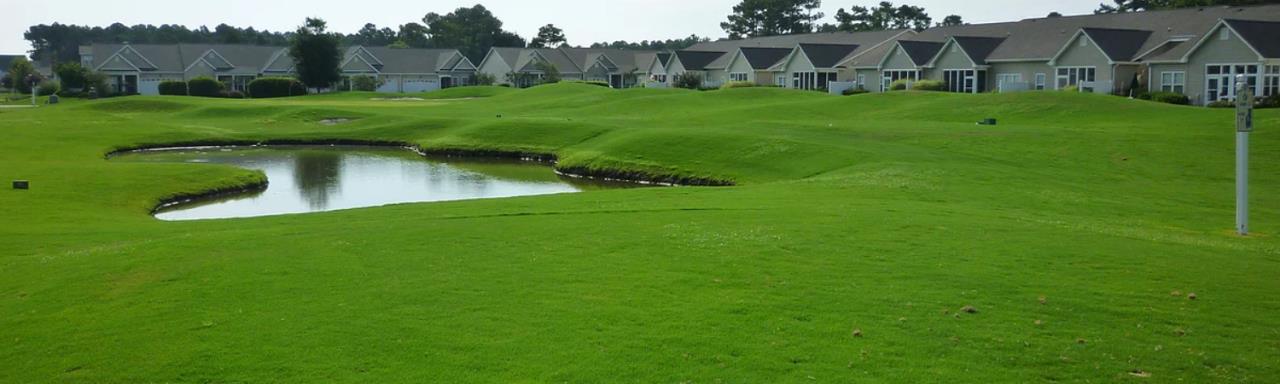 landscape image showing a golf course water hazard