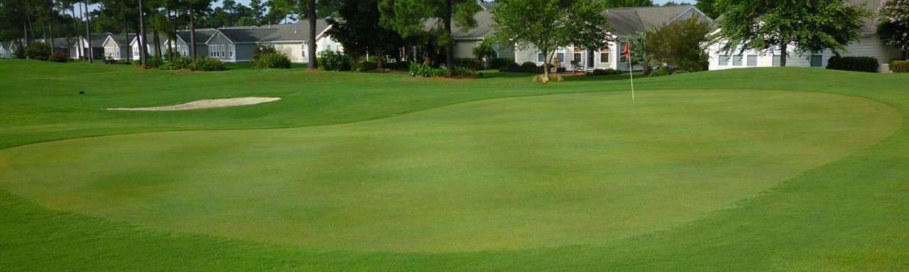 landscape image showing putting green