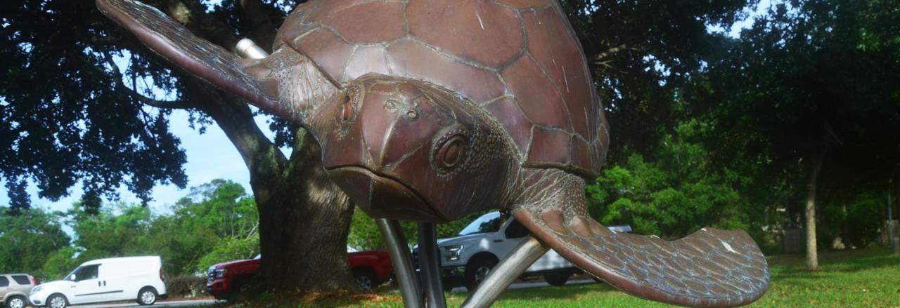 Bronze Turtle Statue in front of Recreation Center