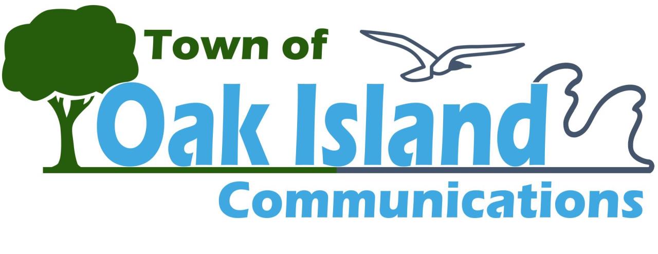 Town Logo_Communications_COLOR