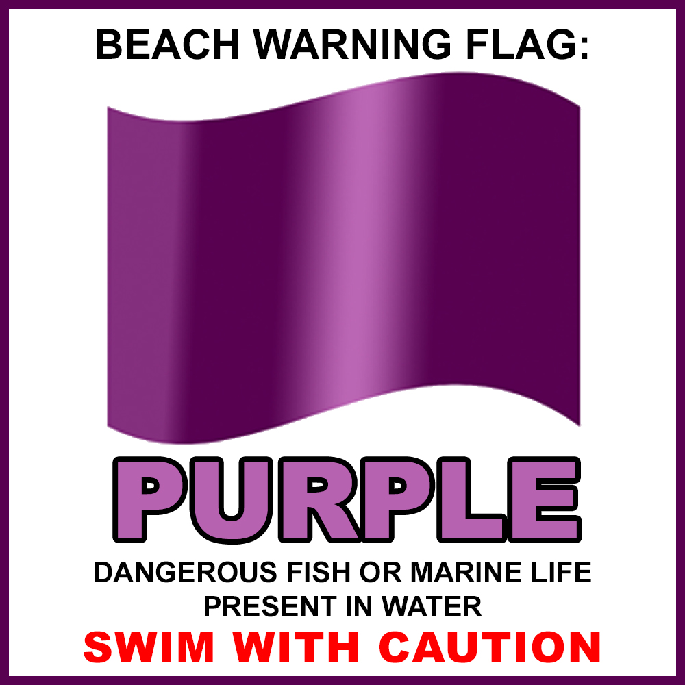 Purple Flag Flag_Website Graphic