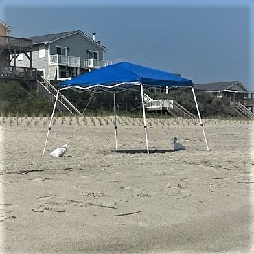 Abandoned Beach Equipment (4)