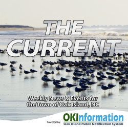 November 18, 2024 Edition of THE CURRENT Now Available