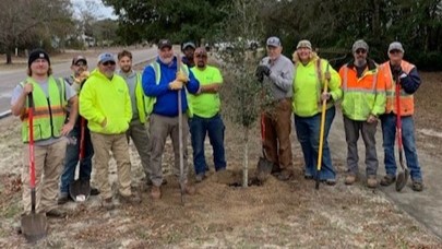 Tree Planting_07